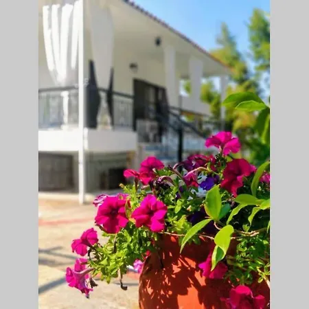 Matoula's House Apartment
